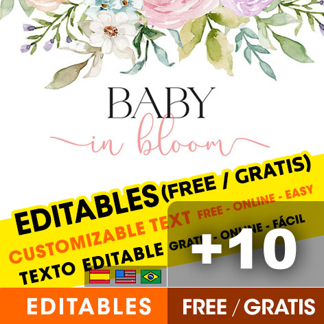 10 Baby in Bloom Baby Shower party invitation templates free
